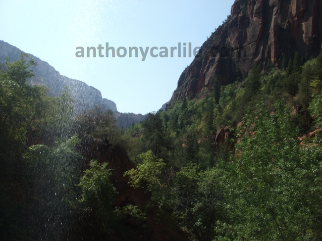 anthony_carlile_zion